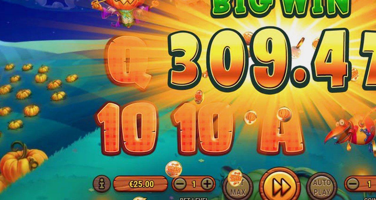 Pumpkin Patch · Góc quay màn hình ứng dụng THOMO